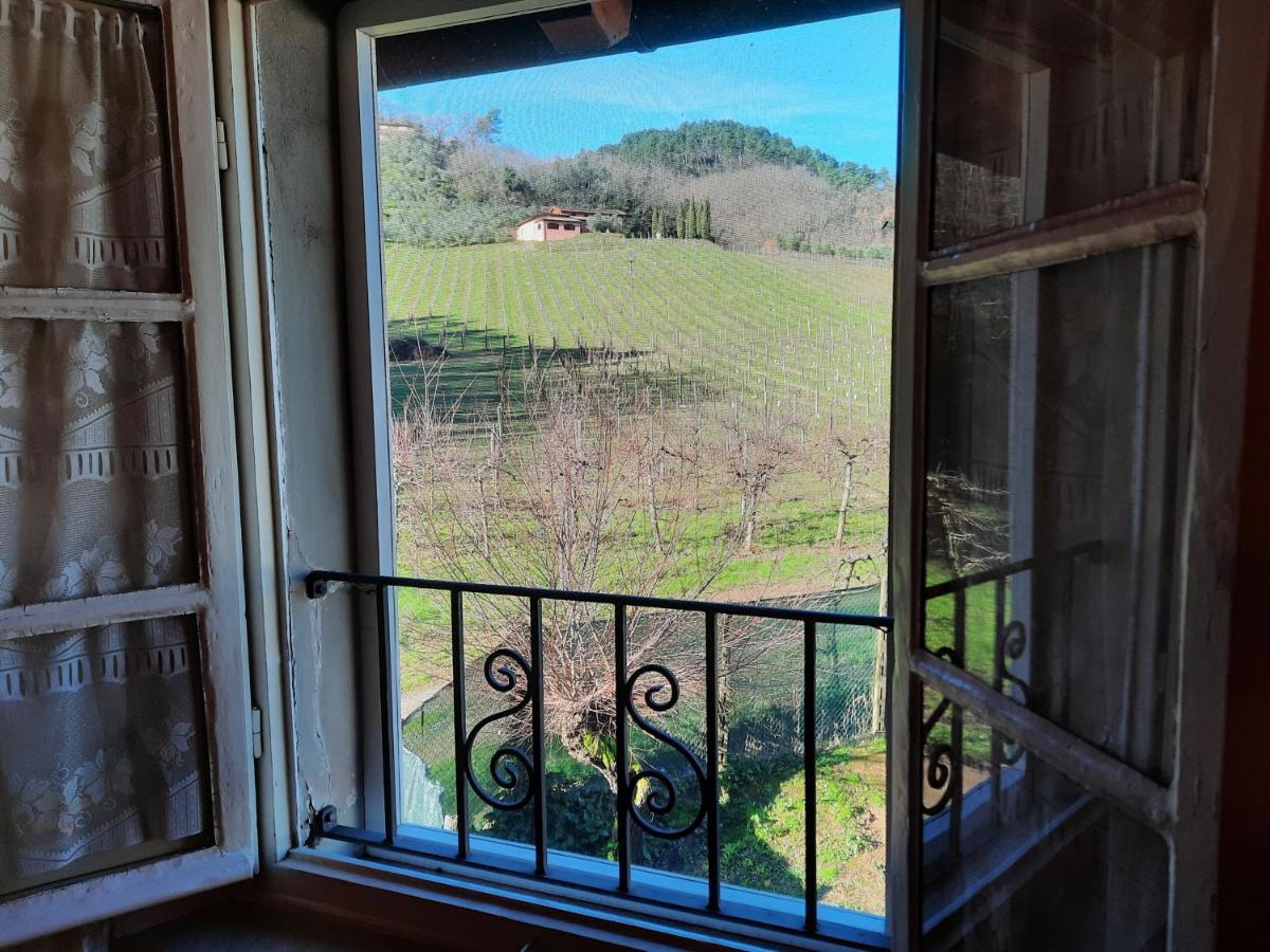Agriturismo Tenuta Adamo Lucca Exteriér fotografie
